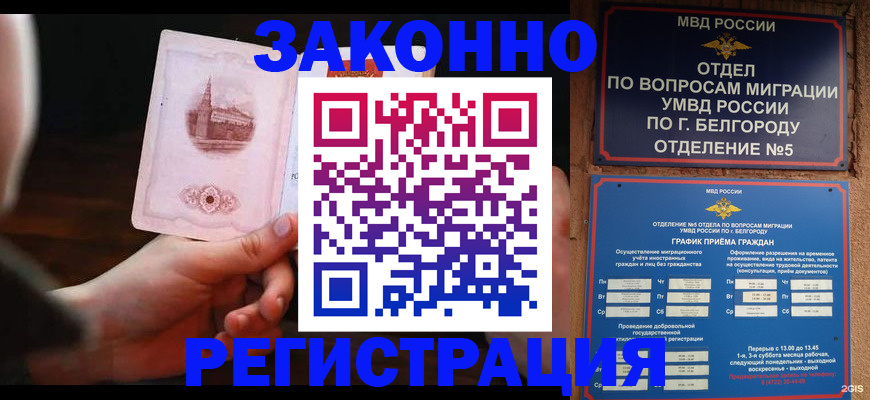 прописка 2025 в Козловке